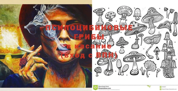 ПСИЛОЦИБИНОВЫЕ ГРИБЫ Остров