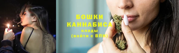 МДПВ Няндома