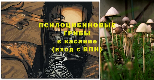 МДПВ Няндома