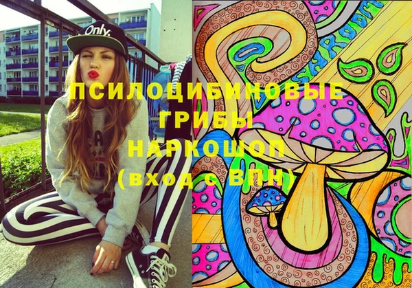 ПСИЛОЦИБИНОВЫЕ ГРИБЫ Остров