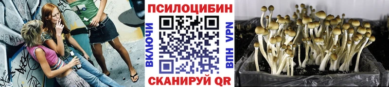 Псилоцибиновые грибы Magic Shrooms  как найти закладки  Новотроицк 