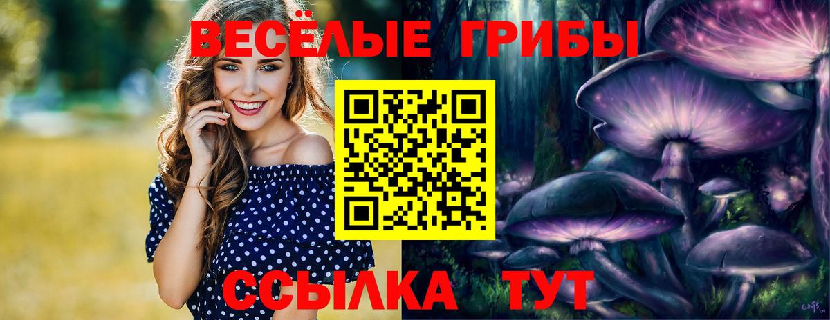 Новотроицк  Псилоцибиновые грибы Psilocybine cubensis  купить наркотик  Псилоцибиновые грибы Psilocybine cubensis  Вход с VPN 